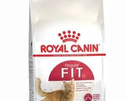 Royal Canin Fit 32 4kg